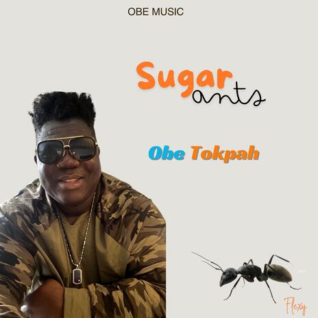 SUGAR ANTS | Boomplay Music