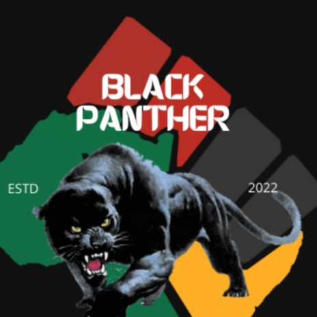 Black Panther Coalition | Boomplay Music