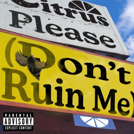 Please (Don't Ruin Me) | Boomplay Music