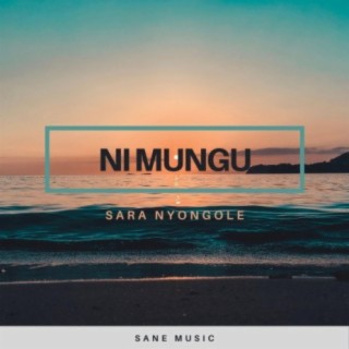 Ni Mungu ft. Walter Chilambo lyrics | Boomplay Music
