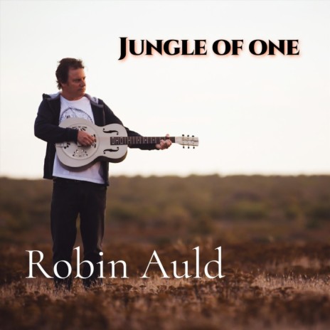 The Ballad of Andre Stander | Boomplay Music