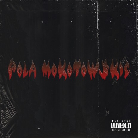 Pola Mokotowskie ft. wavyzien | Boomplay Music