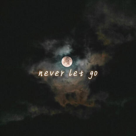 Never let go | Boomplay Music