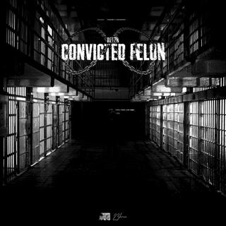 CONVICTED FELON lyrics | Boomplay Music