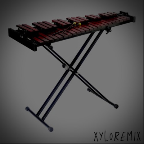 XyloRemix ft. Hey Mr. K