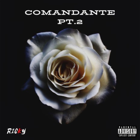 Comandante Pt. 2 | Boomplay Music