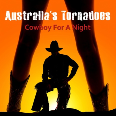 Cowboy for a Night | Boomplay Music