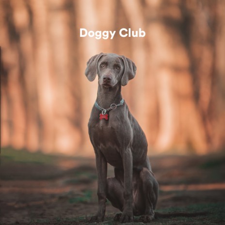 Quantum ft. Sounds Dogs Love & Dog Music Club | Boomplay Music