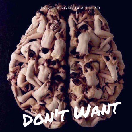 Don't Want ft. David Angelux & DiexD