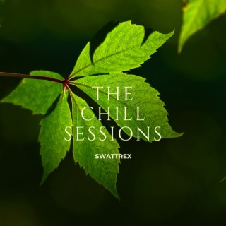 THE CHILL SESSIONS 1 : SHADES OF LOVE