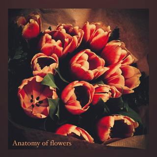 The Anatomy of Flowers