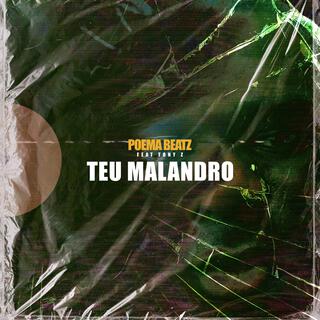 Teu Malandro