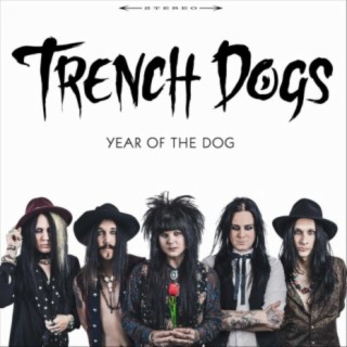 Trench Dogs