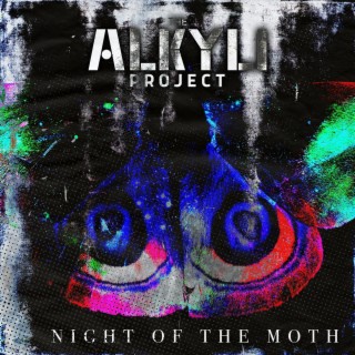 Night of the Moth