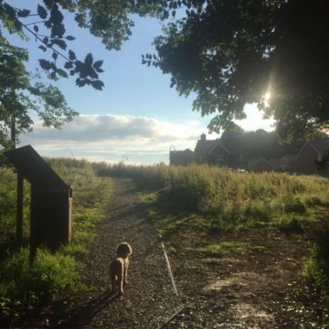 My Friend/The Wishing Well (Live from Beech Lane)