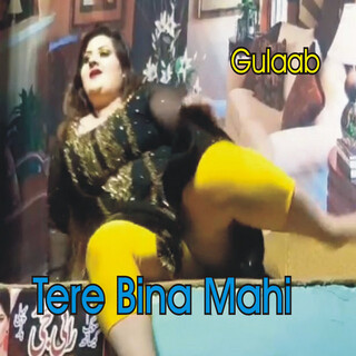 Tere Bina Mahi