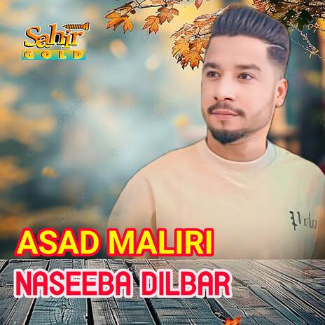 Naseeba Dilbar | Boomplay Music