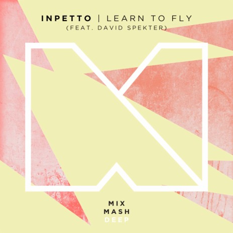 Learn To Fly [Radio Edit] ft. David Spekter | Boomplay Music