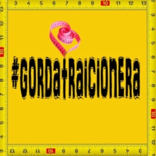 Gorda traicionera 2012 (No eres gorda, eres ancha de caderas)