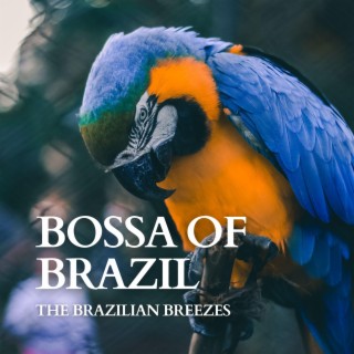 Bossa Of Brazil