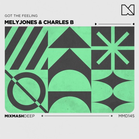 Got The Feeling ft. Charles B | Boomplay Music