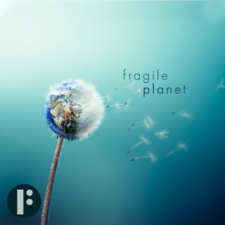 Fragile Planet