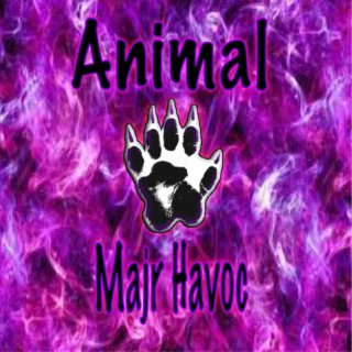 Animal