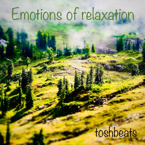 Emotions of relaxation | Boomplay Music