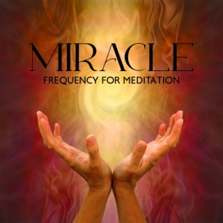 vVv Miracle Frequency for Meditation vVv