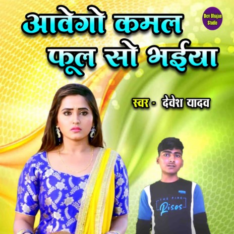 Aavego Kamal Phool So Bhiya | Boomplay Music