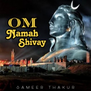 Om Namah Shivay