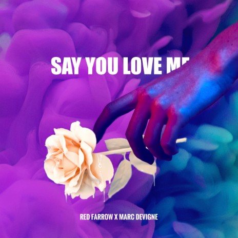 Say You Love Me ft. Marc Devigne | Boomplay Music