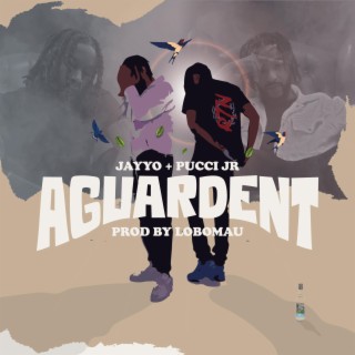 Aguardent ft. Pucci Jr lyrics | Boomplay Music