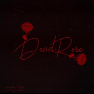 Dead Rose