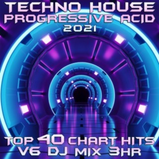Techno House Progressive Acid 2021 Top 40 Chart Hits, Vol. 6 DJ Mix 3Hr