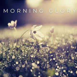 Morning Glory