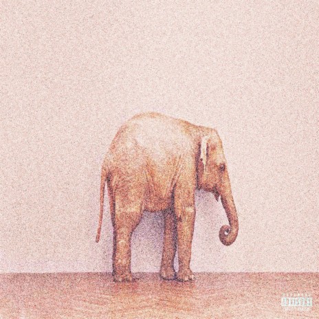 Elephant in the Room ft. Lefty Rose