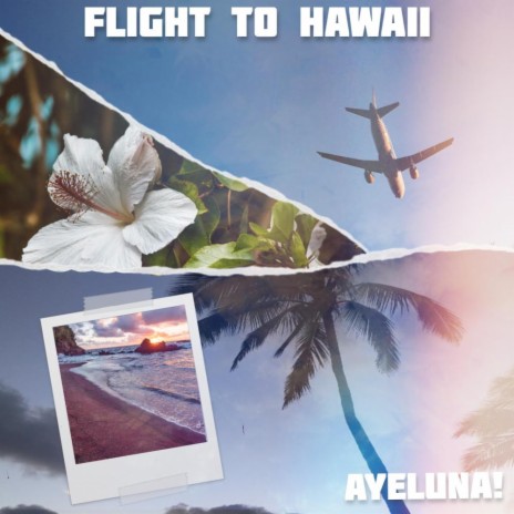 Flight To Hawaii | Boomplay Music
