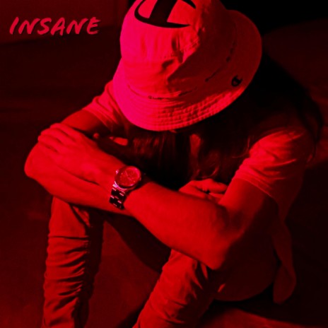 INSANE | Boomplay Music