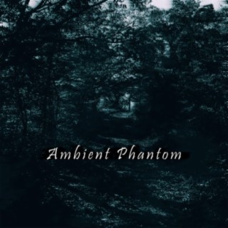 Ambient Phantom