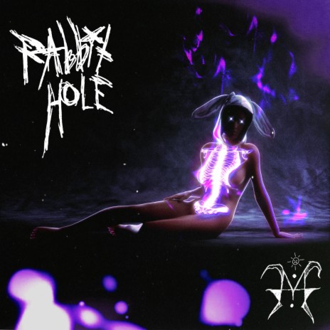 The Rabbit Hole | Boomplay Music