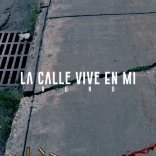 La Calle Vive En Mi lyrics | Boomplay Music