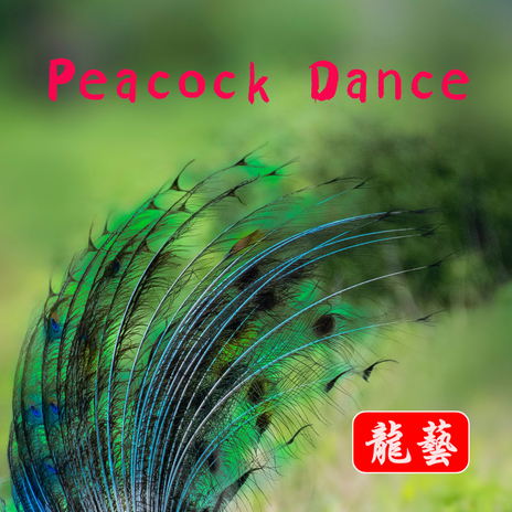 Peacock Dance | Boomplay Music