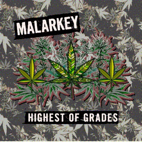 Highest of Grades | Boomplay Music