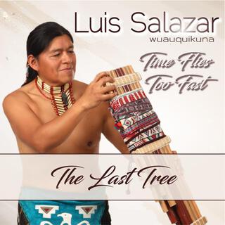 The Last Tree