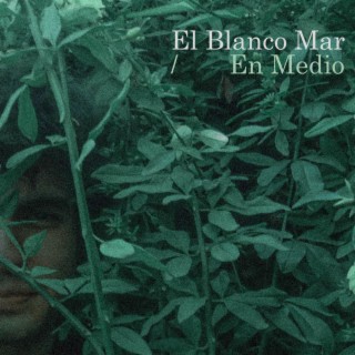 El Blanco Mar lyrics | Boomplay Music