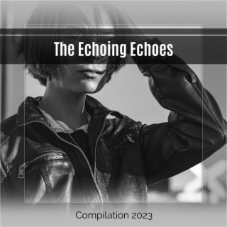 The Echoing Echoes