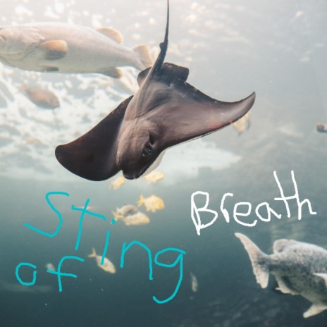 Sting of Breath | Boomplay Music