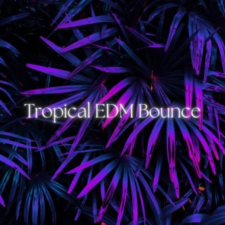 Tropical EDM Bounce