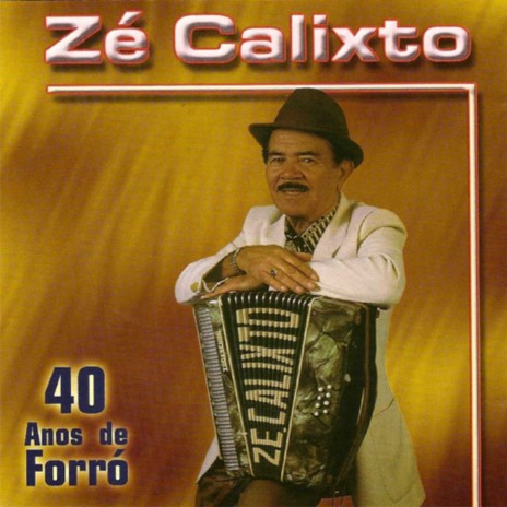 Zé Calixto, 40 Anos de Forró | Boomplay Music